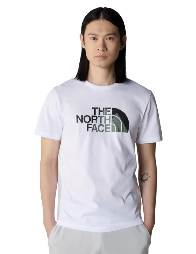 the-north-face-graphic-1-tee-t-shirt-homme-col-rond-coupe-standard-imprim-biner- image 1
