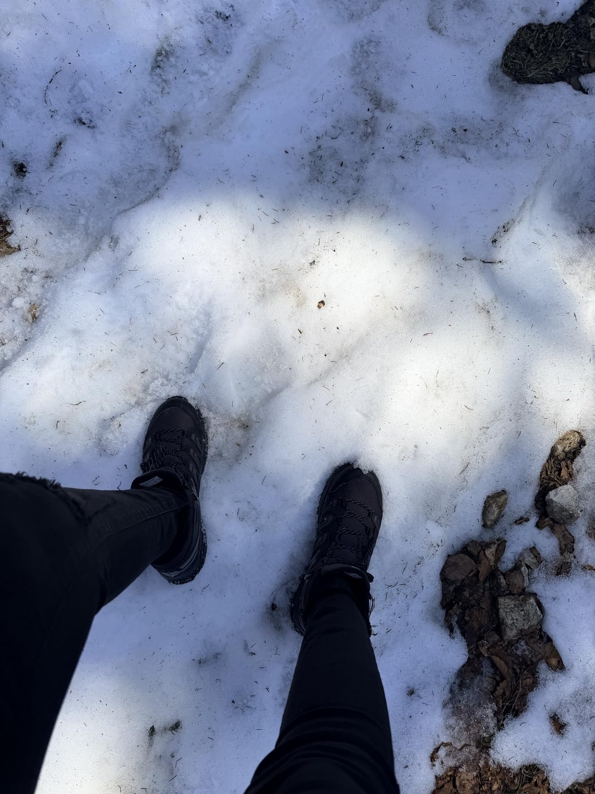 Bonnes chaussures de rando