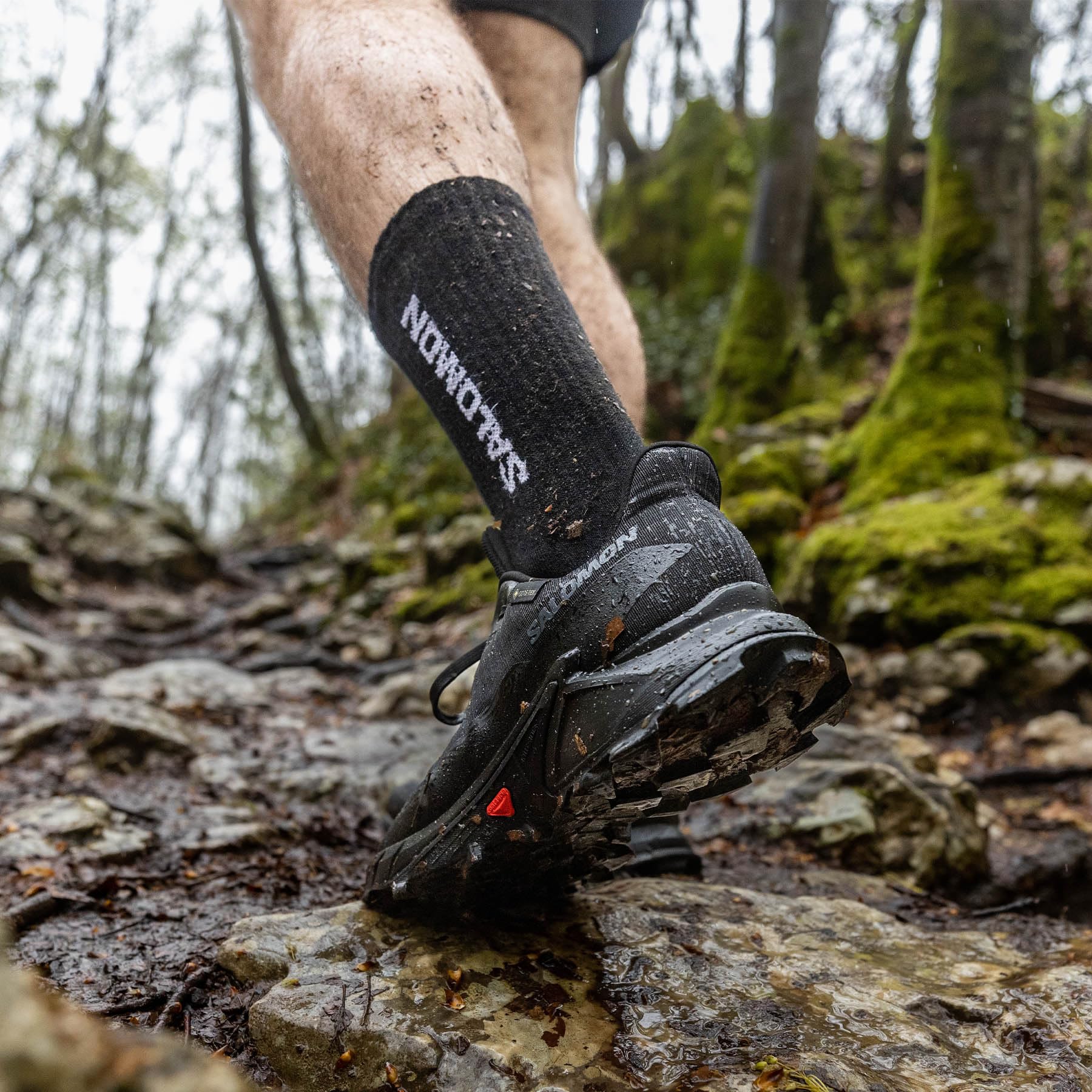 salomon-alphacross-5-gore-tex-chaussures-de-trail-homme-imperm-able-crampons-pro image 8