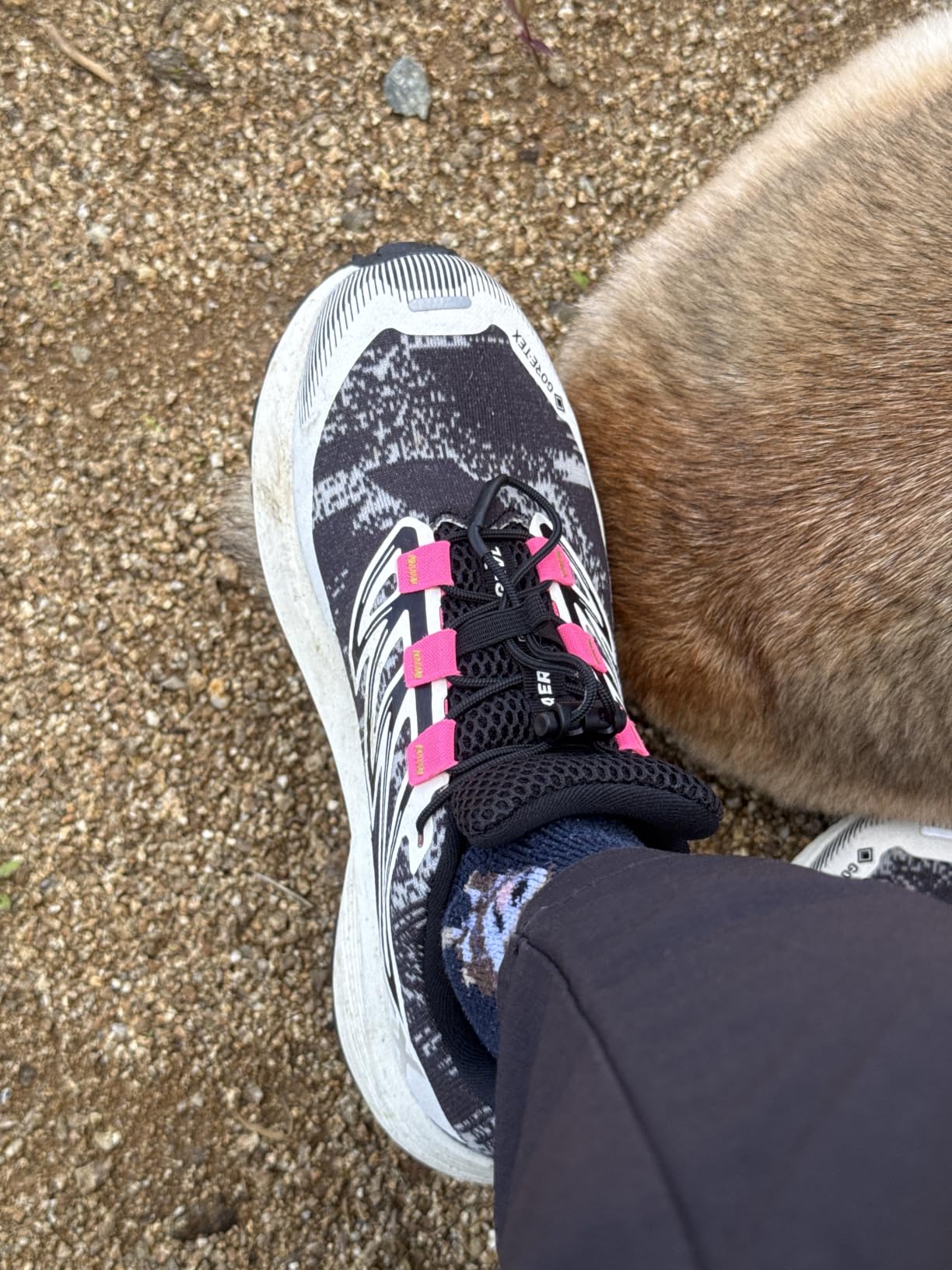 Pieds au sec, enfin