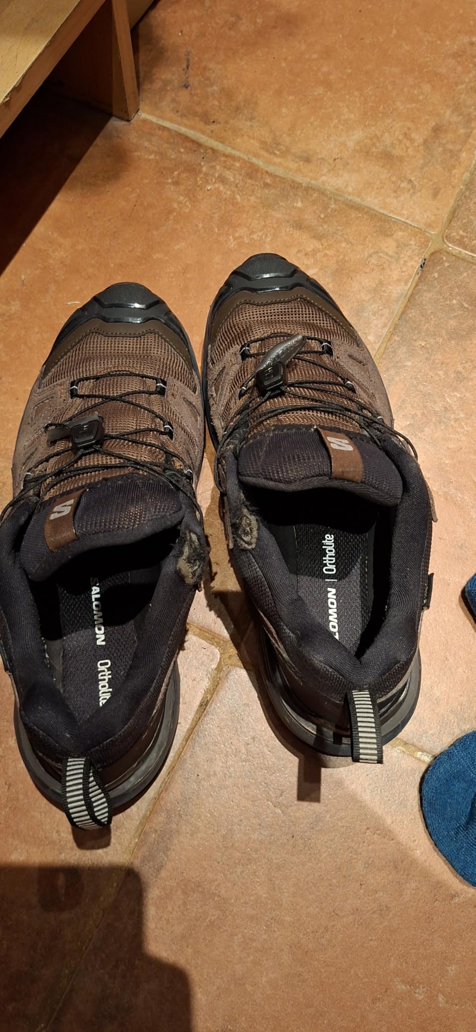 Conforme à la réputation